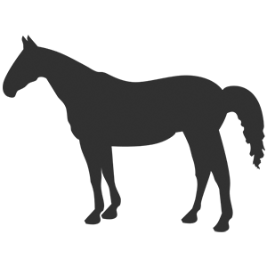 Horse Icon - CMD